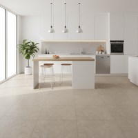 Join Manor 60x120 £70.70/ M2