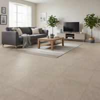 Join Wing 60x120 £71.70/ M2