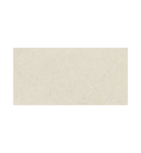 Fired Earth Axis Ivory 30 x 60 Porcelain Tile Sample