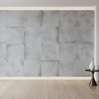 Alchemy Contemporary Porcelain Argent 80x80cm