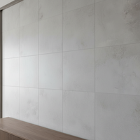 Alchemy Contemporary Porcelain Argent 120x120cm