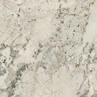 Anima Ever Porcelain Marble, 4 sizes, from £63.49/ M2