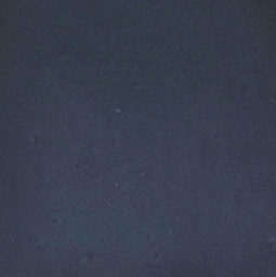 Fes Brick Porcelain Blue £82.80/ M2