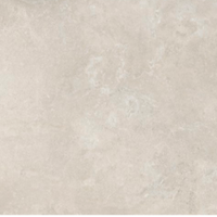Saint Remy Porcelain Beige 2 sizes £68.22 / M2