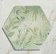 Woodland Glade Porcelain, three colours from £79.58/ M2