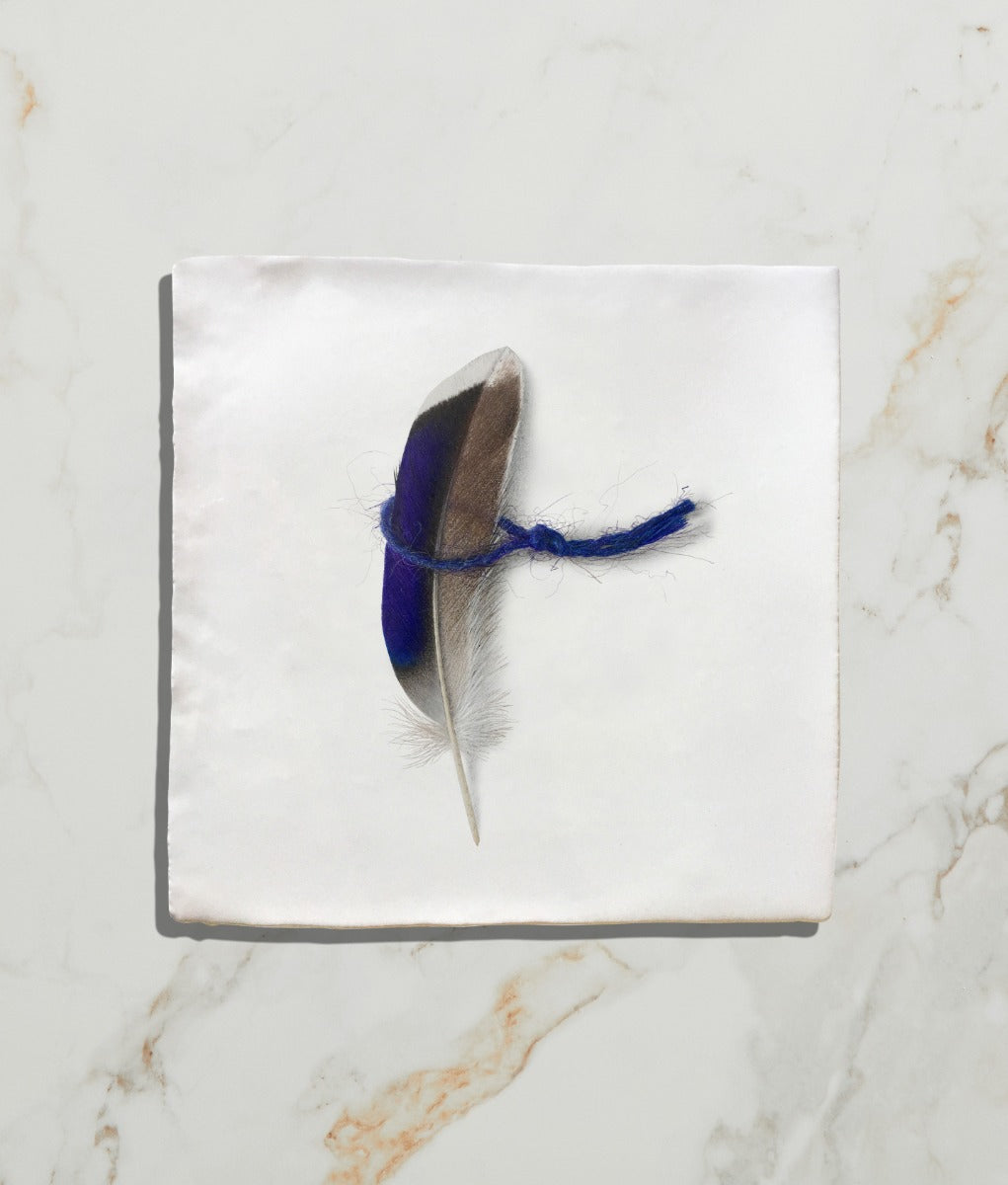 Menagerie Ceramic by Michael Angove 13x13cm 7243