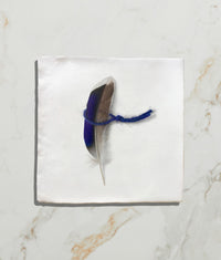 Menagerie Ceramic by Michael Angove 13x13cm 7243