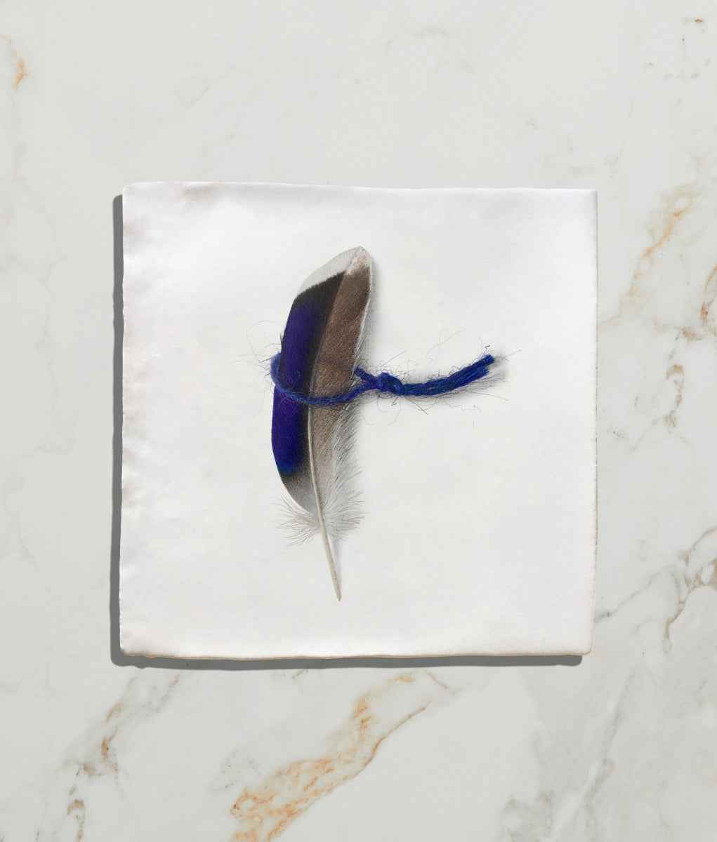 Menagerie Ceramic by Michael Angove 13x13cm Sample