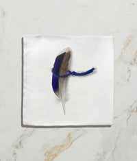 Menagerie Ceramic by Michael Angove 13x13cm Sample