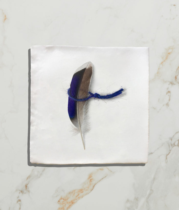 Menagerie Ceramic by Michael Angove 13x13cm Sample