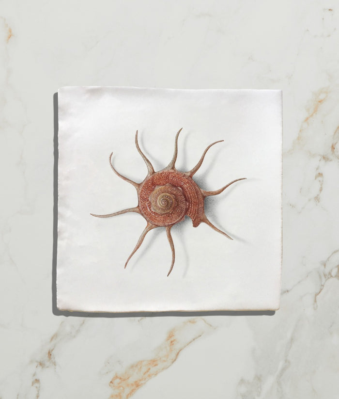 Menagerie Ceramic by Michael Angove 13x13cm Sample