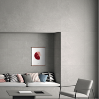 Arkistone Porcelain Stoneware Silver 60x60