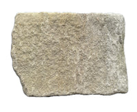 Forest Pennant Natural Stone Slip