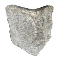 Forest Pennant Natural Stone Corner