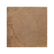 Cotto, Blanc, £56.70/M2 Brown Decorative Tiles Sale Porcelain Decorative Tiles Fired Earth