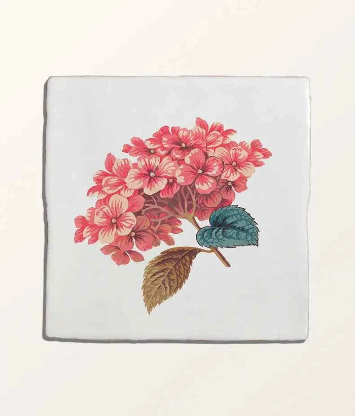 Ca Pietra STUDIO Divine Savages The Brambles Hydrangea Belle Ceramic 13x13cm