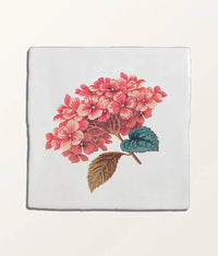 STUDIO Divine Savages The Brambles Hydrangea Belle Ceramic 13x13cm