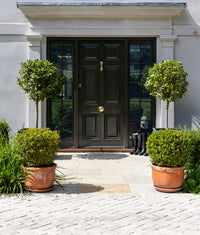 Trusloe Limestone Paving Seasoned Finish 60x90cm
