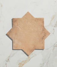 Fez Porcelain Star Cotto 20.5cm Sample