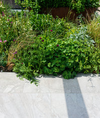 Lithos Porcelain Paving Textured Blanc 60x90cm