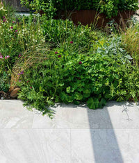 Lithos Porcelain Paving Textured Blanc 60x90cm Sample