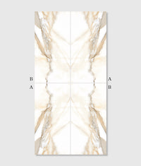 Magnifique Porcelain Oro Bookmatched 60cm Sample