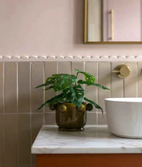 Ca Pietra Ornamento Composite Trim Scallop 1.9x102.5cm