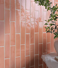 Stone Glaze Ceramic Blossom Gloss Brick 5x20cm Sample