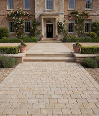 Trafalgar Sandstone Cobbles Tumbled 14xRandomcm