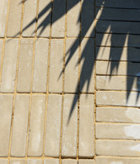 Trafalgar Sandstone Klinkers Tumbled 5x20cm