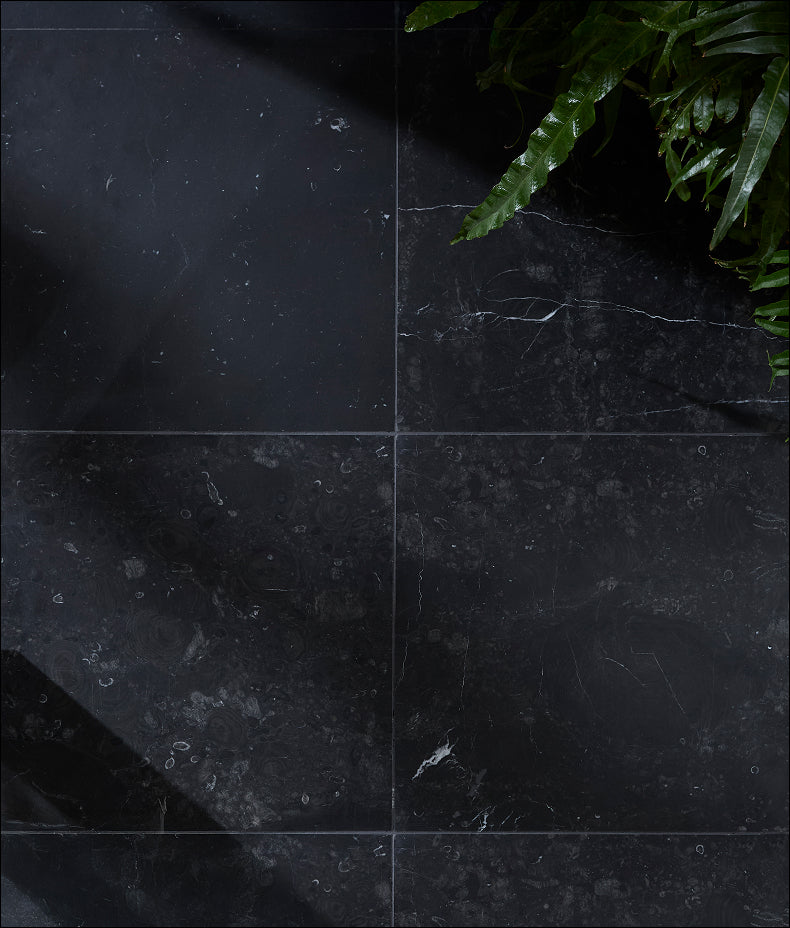 Versailles Marble Noir Honed 45.7x45.7cm Sample