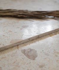 Rialto Terrazzo San Michele Honed 60x60cm Sample