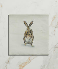 Wiltshire Hares Ceramic By Joanna May 12.5x12.5cm 12908