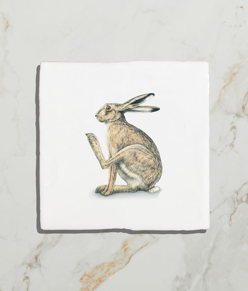Wiltshire Hares Ceramic By Joanna May 13x13cm 17672