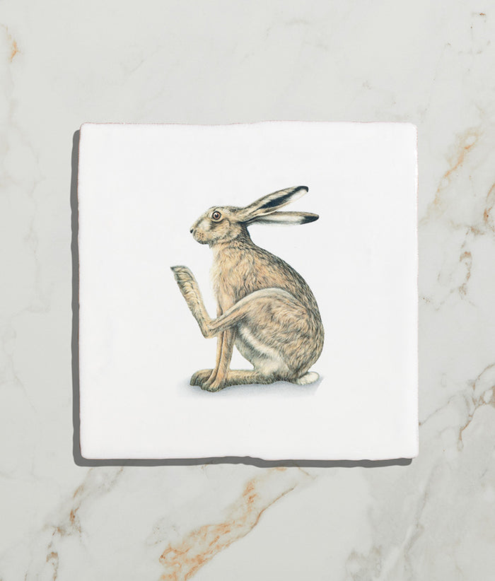Wiltshire Hares Ceramic By Joanna May 13x13cm Sample