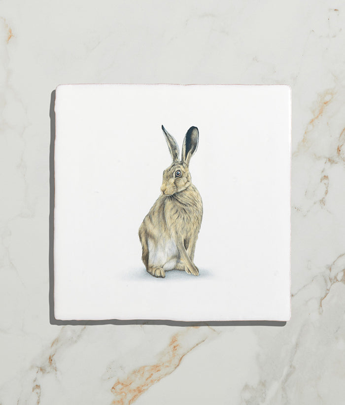 Wiltshire Hares Ceramic By Joanna May 13x13cm 17674