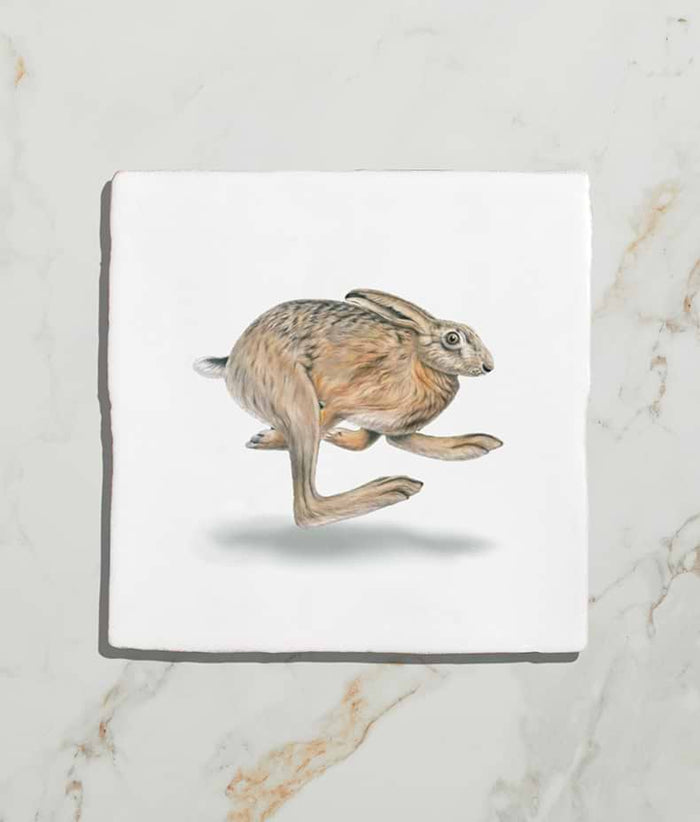 Wiltshire Hares Ceramic By Joanna May 13x13cm Sample