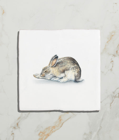 Wiltshire Hares Ceramic By Joanna May 13x13cm 17676