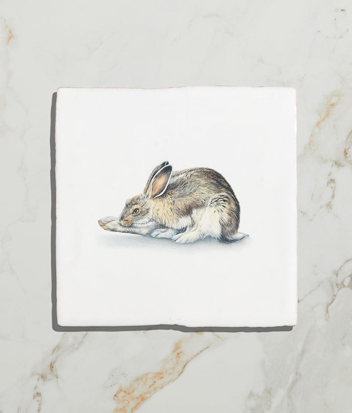 Wiltshire Hares Ceramic By Joanna May 13x13cm 17676