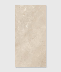 Winchester Porcelain 60x120cm